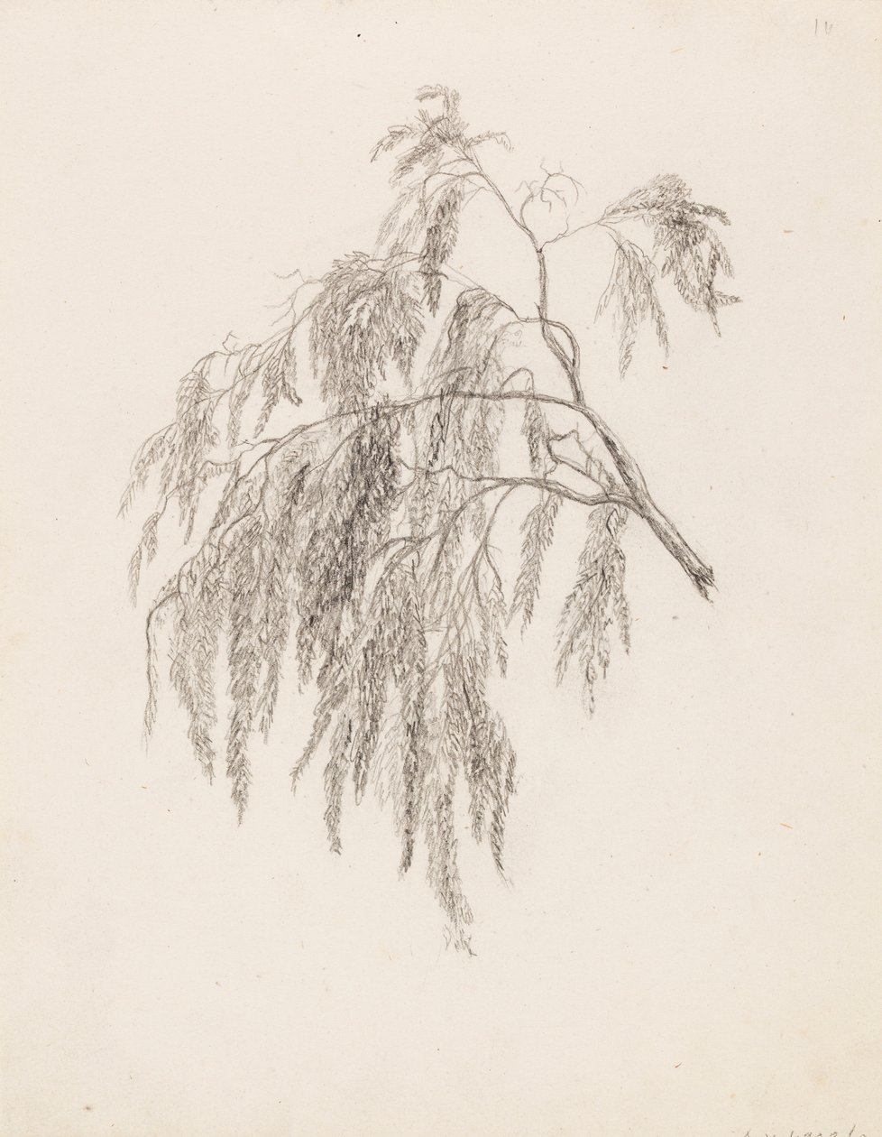Branche - Victoria Åberg