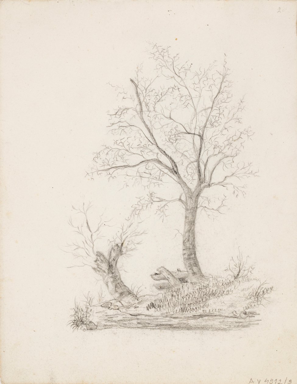 Arbres - Victoria Åberg