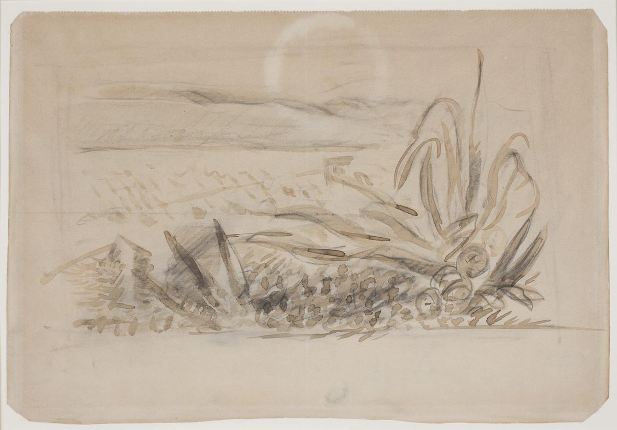 Paysage avec agave. Sud de la France - Vilhelm Lundstrøm