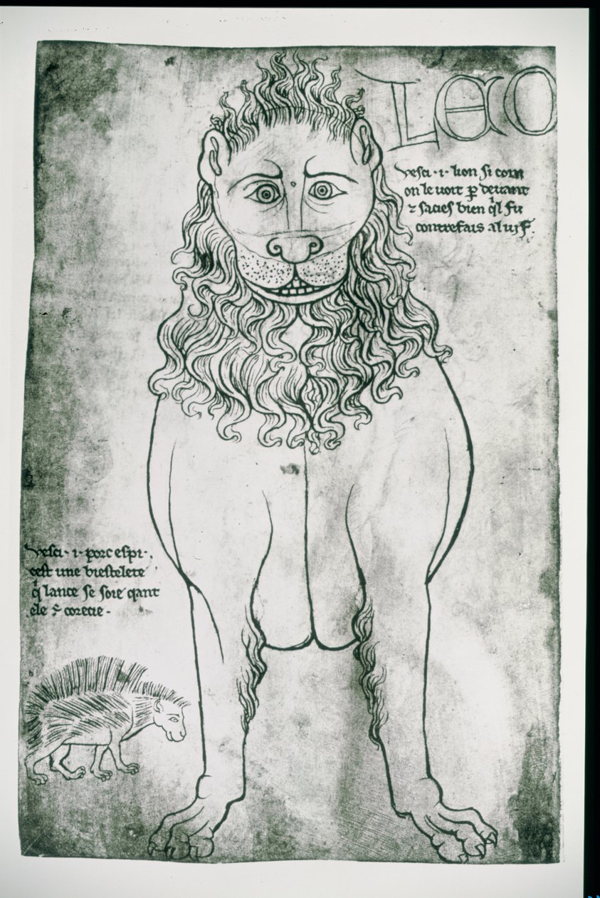 Lion et Porc-épic (fac-similé) - Villard de Honnecourt
