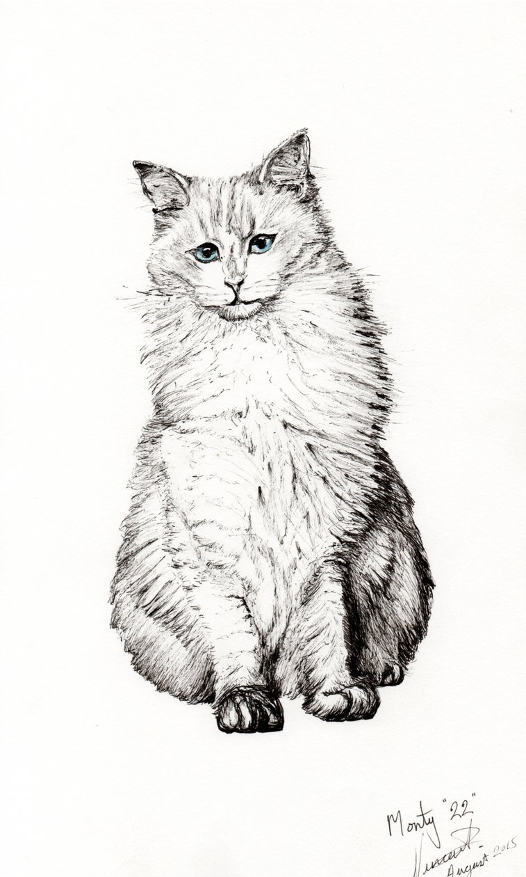 Garçon, 2015 - Vincent Alexander Booth
