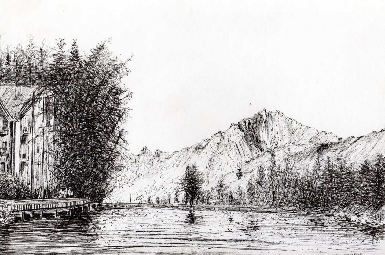 Crans Suisse, 2009 - Vincent Alexander Booth