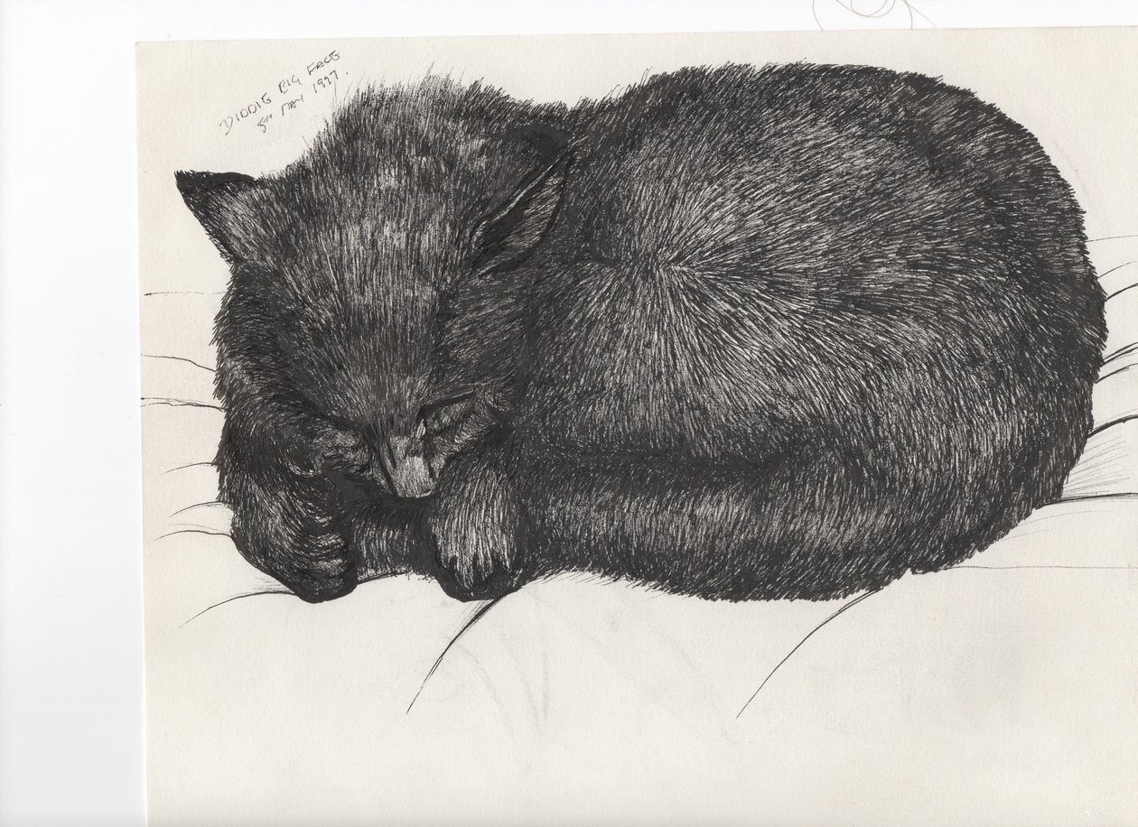 Grand visage, 1997 - Vincent Alexander Booth