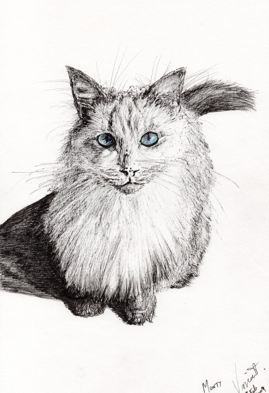 Monty, 2009 - Vincent Alexander Booth