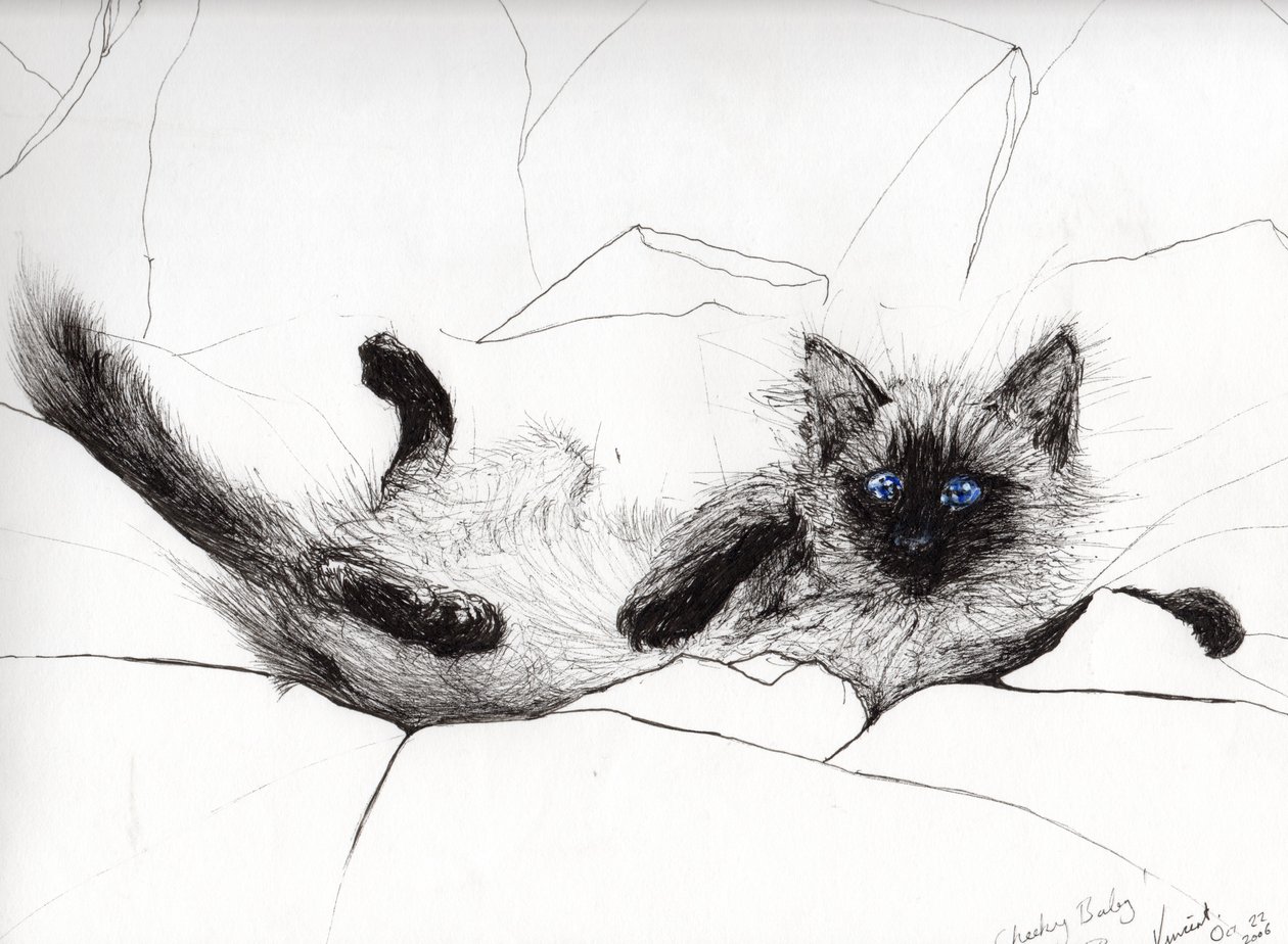 Jouer bébé, 2006 - Vincent Alexander Booth
