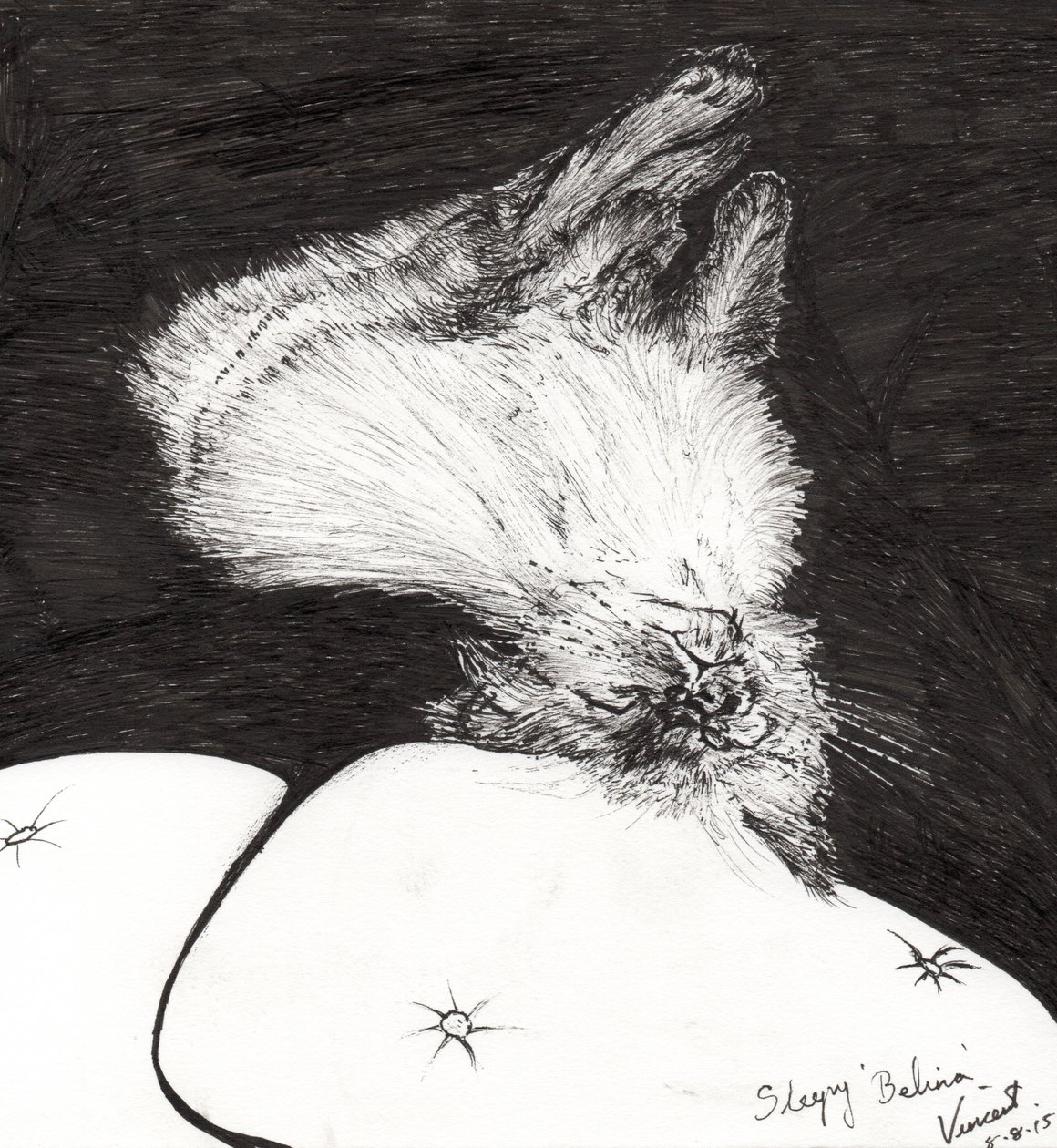 Belina endormie, 2015 - Vincent Alexander Booth