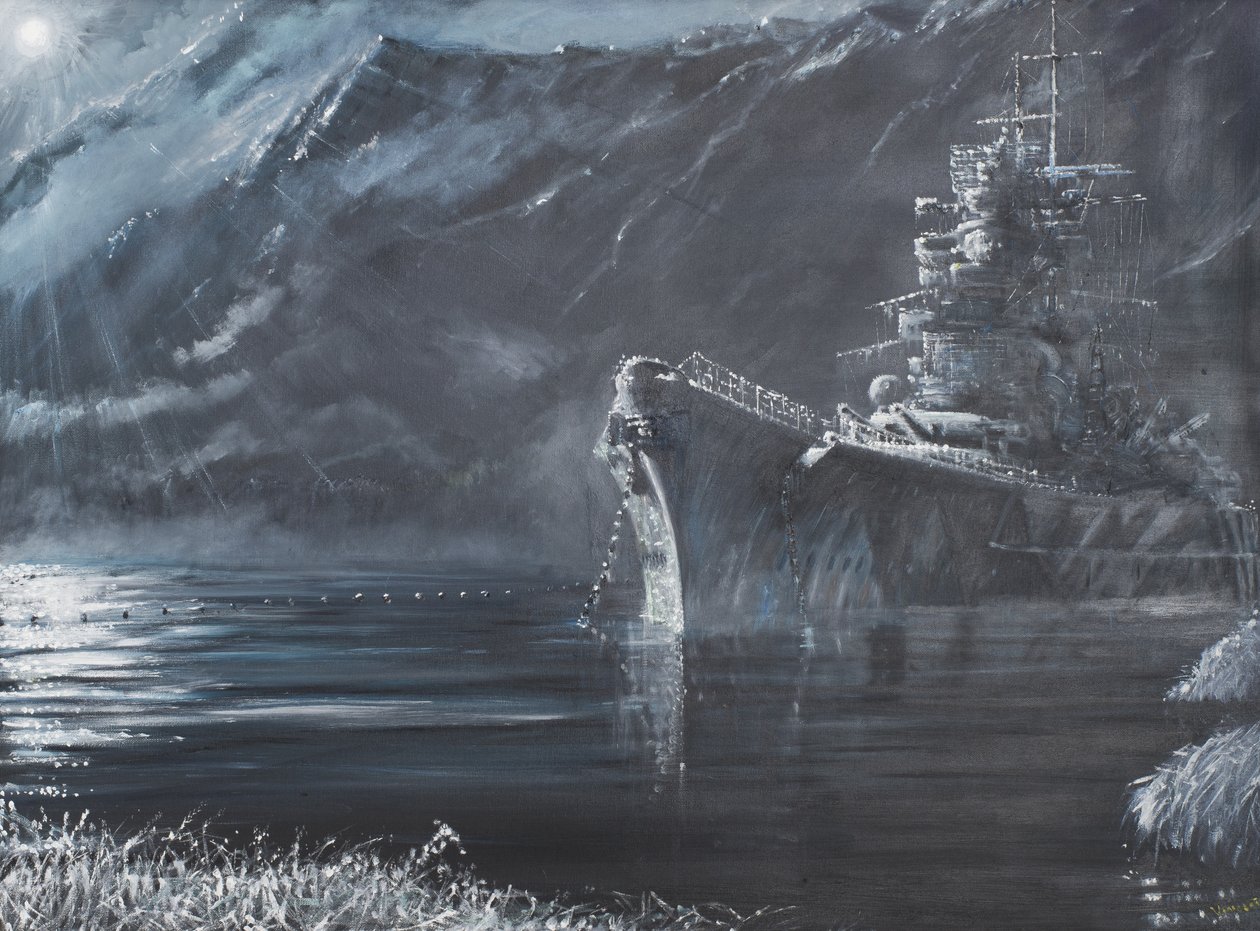 Tirpitz La Reine Solitaire du Nord 1944, 2007 - Vincent Alexander Booth