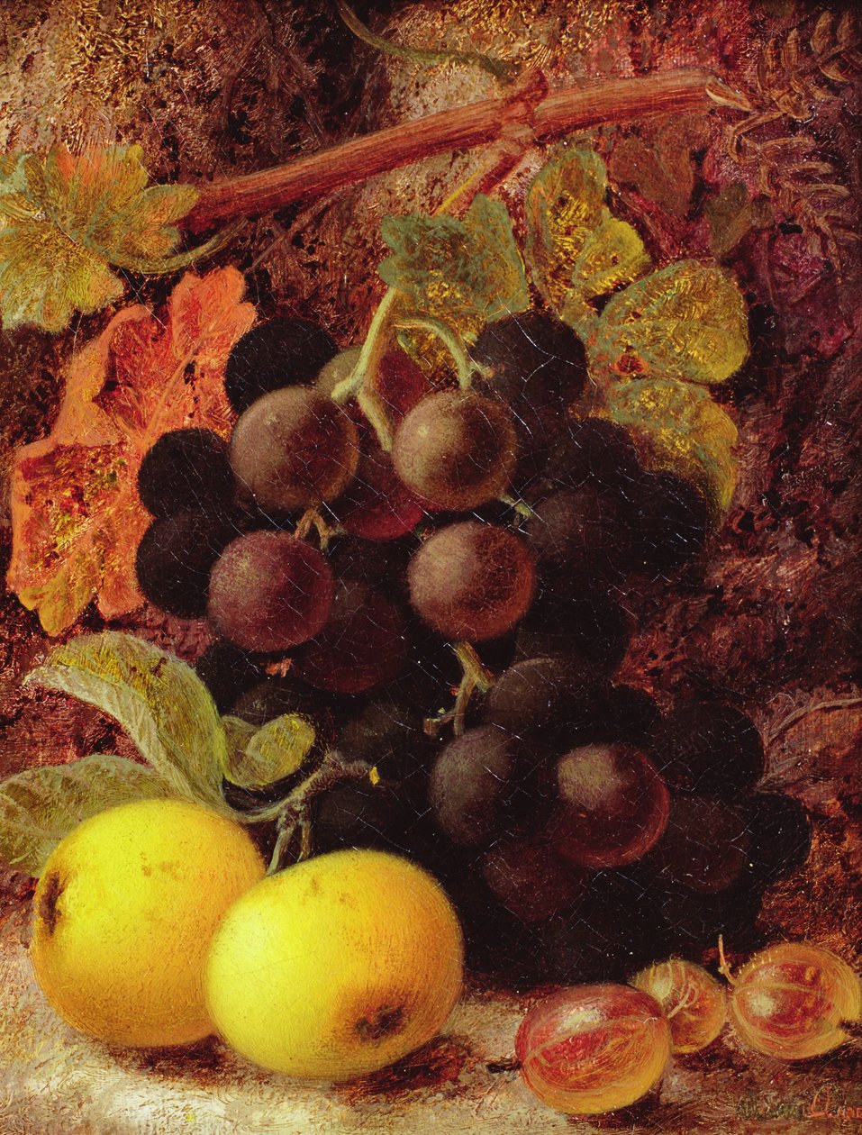 Raisins, pommes et groseilles - Vincent Clare