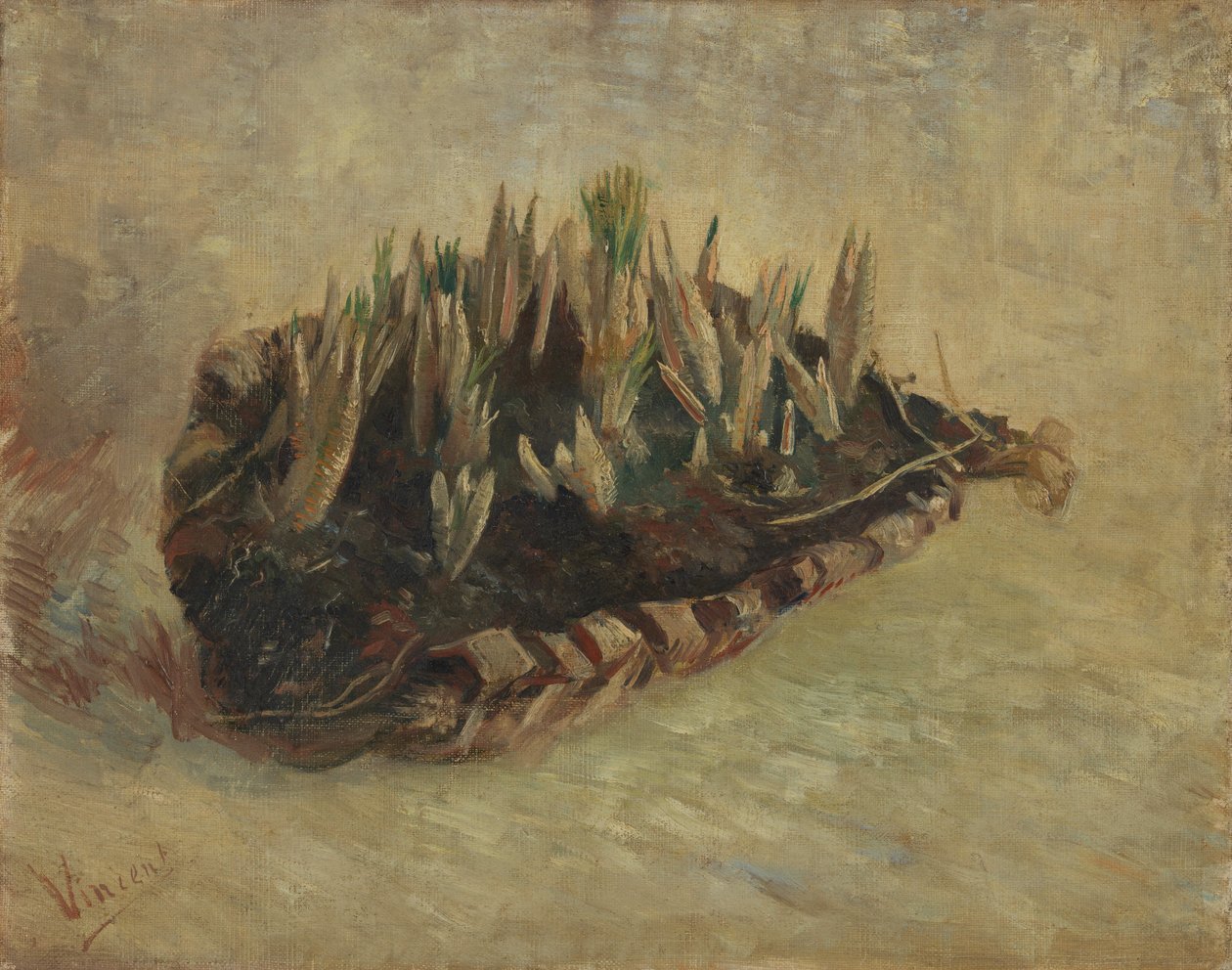 Panier de bulbes de crocus - Vincent van Gogh