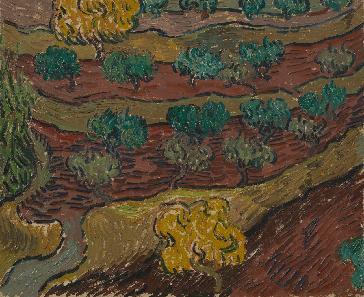Oliviers sur une colline - Vincent van Gogh