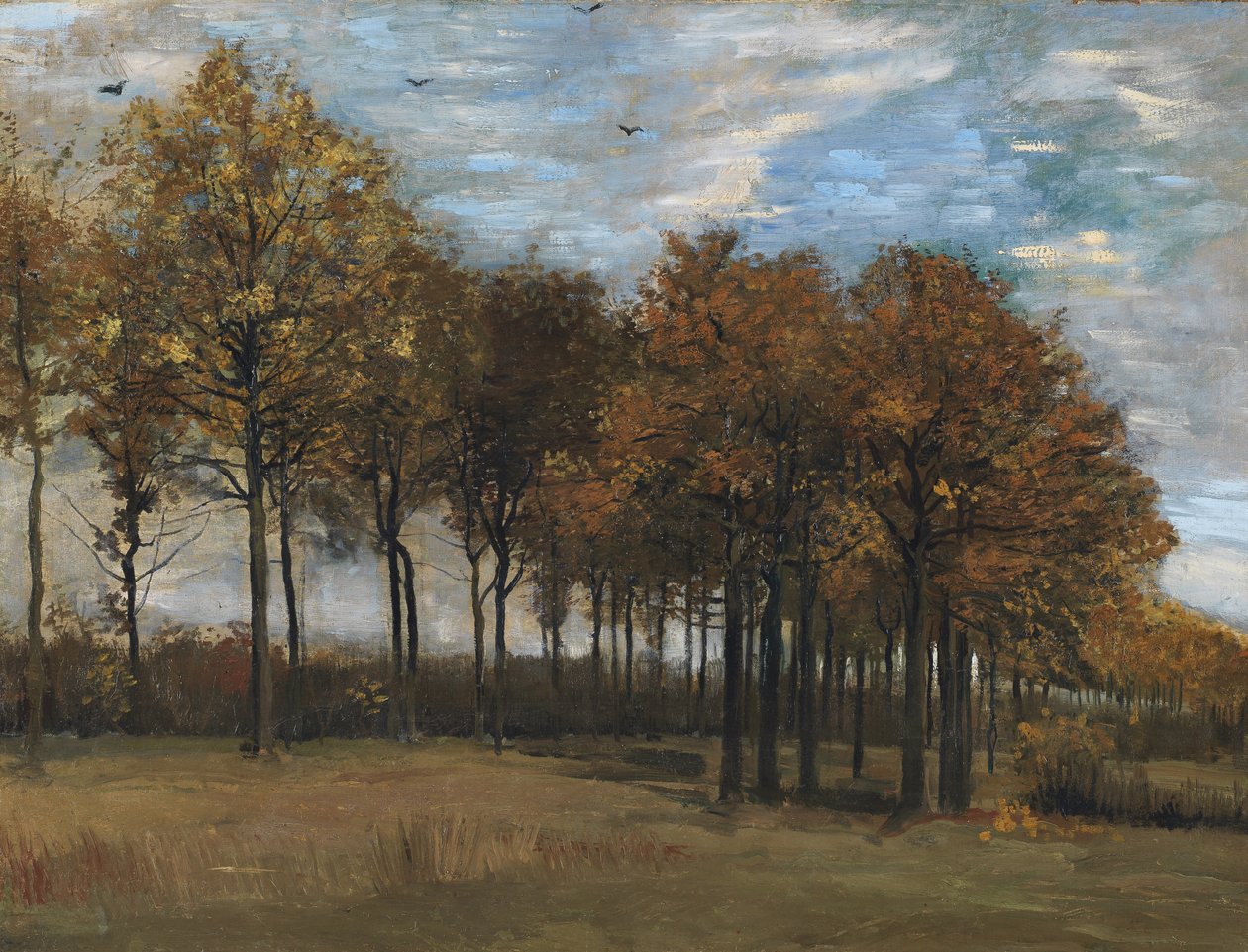 Paysage d