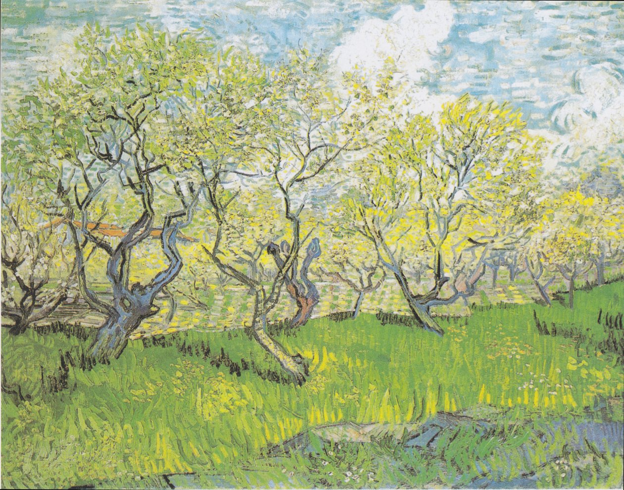 Verger en fleurs - Vincent van Gogh