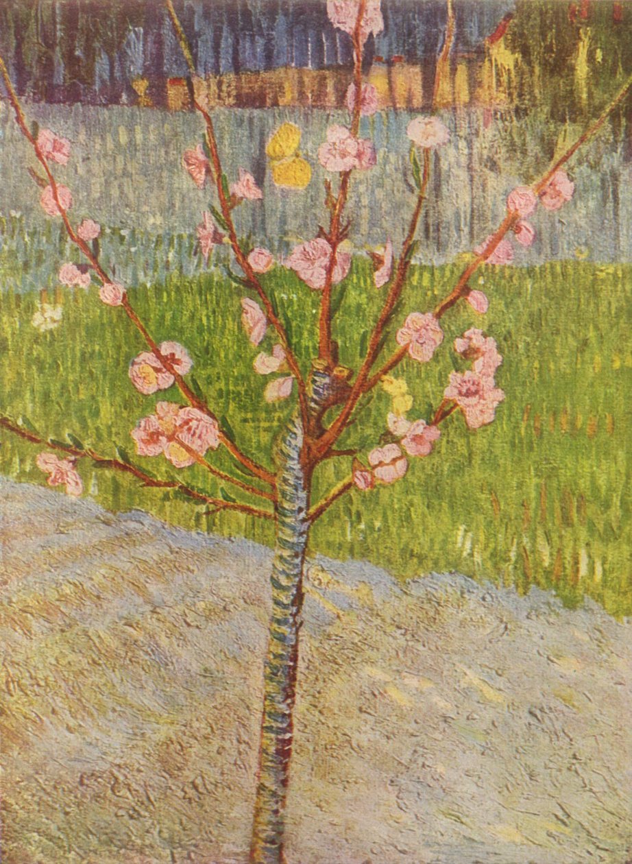 Boulevard de Clichy - Vincent van Gogh