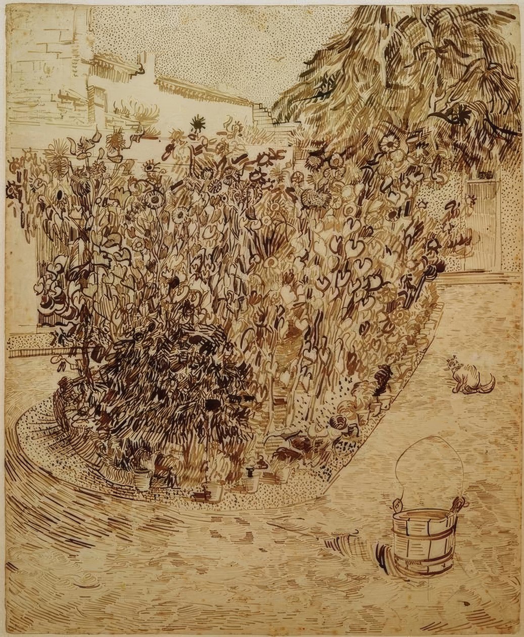 Jardin d