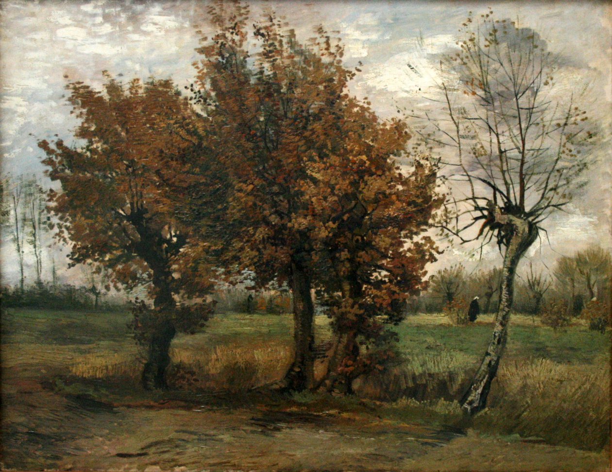 Paysage d