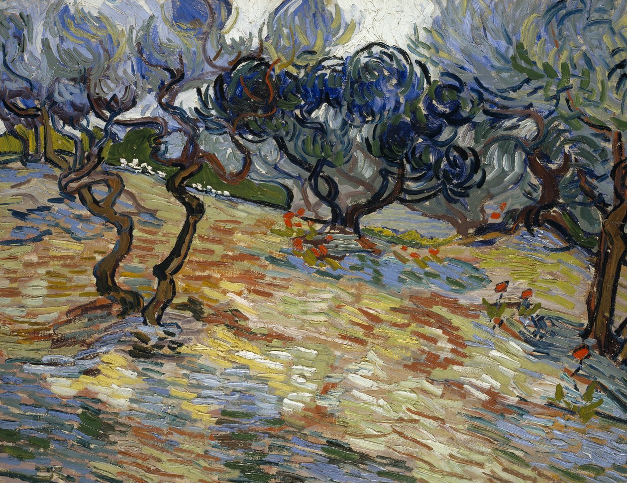 Oliviers - Vincent van Gogh