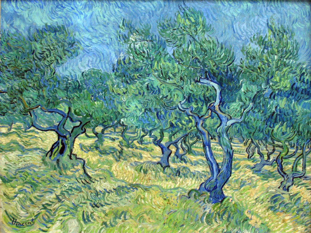 Olivier - Vincent van Gogh