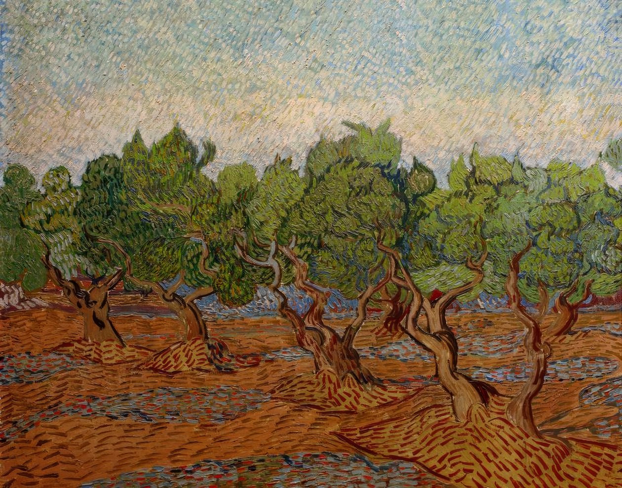 Oliveraie - Vincent van Gogh