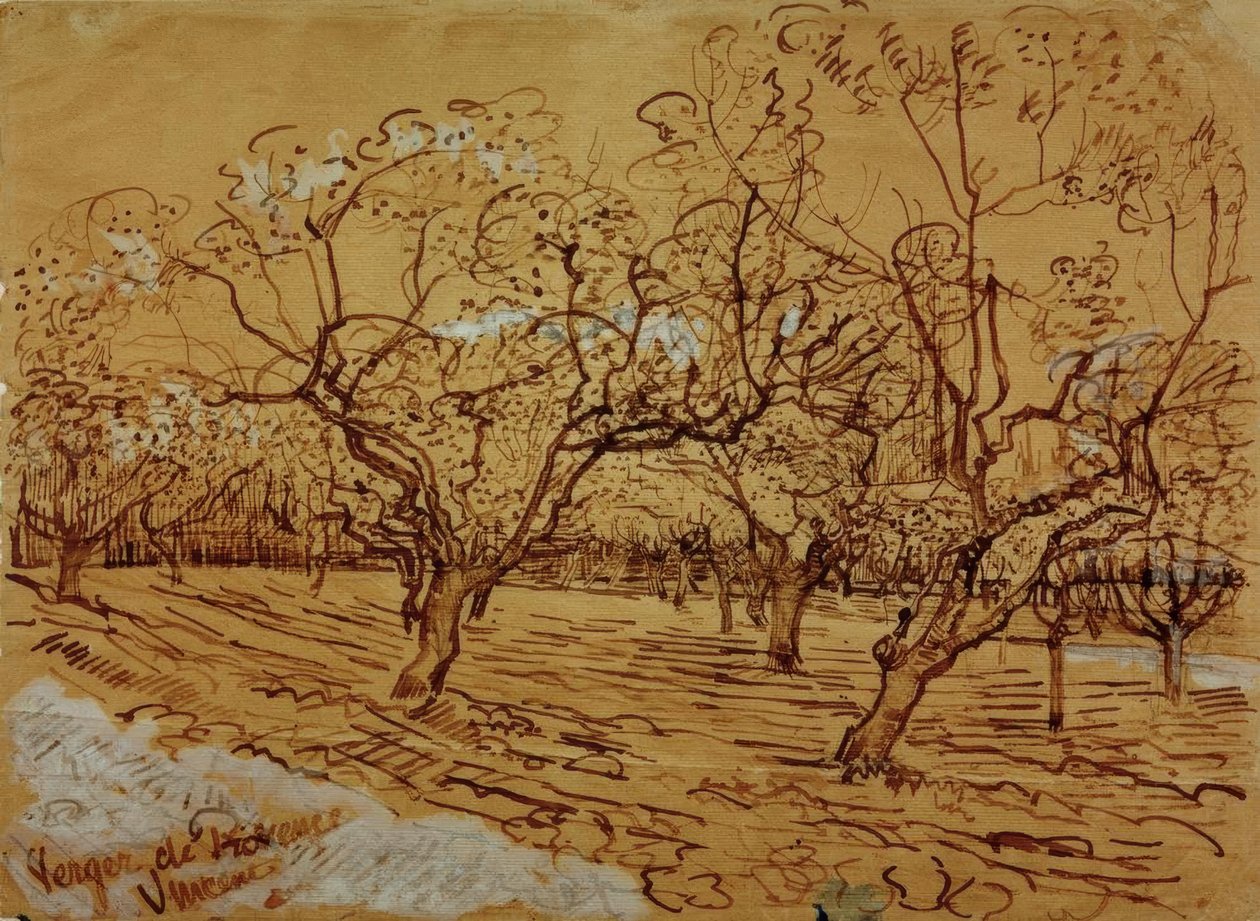 Verger provençal - Vincent van Gogh