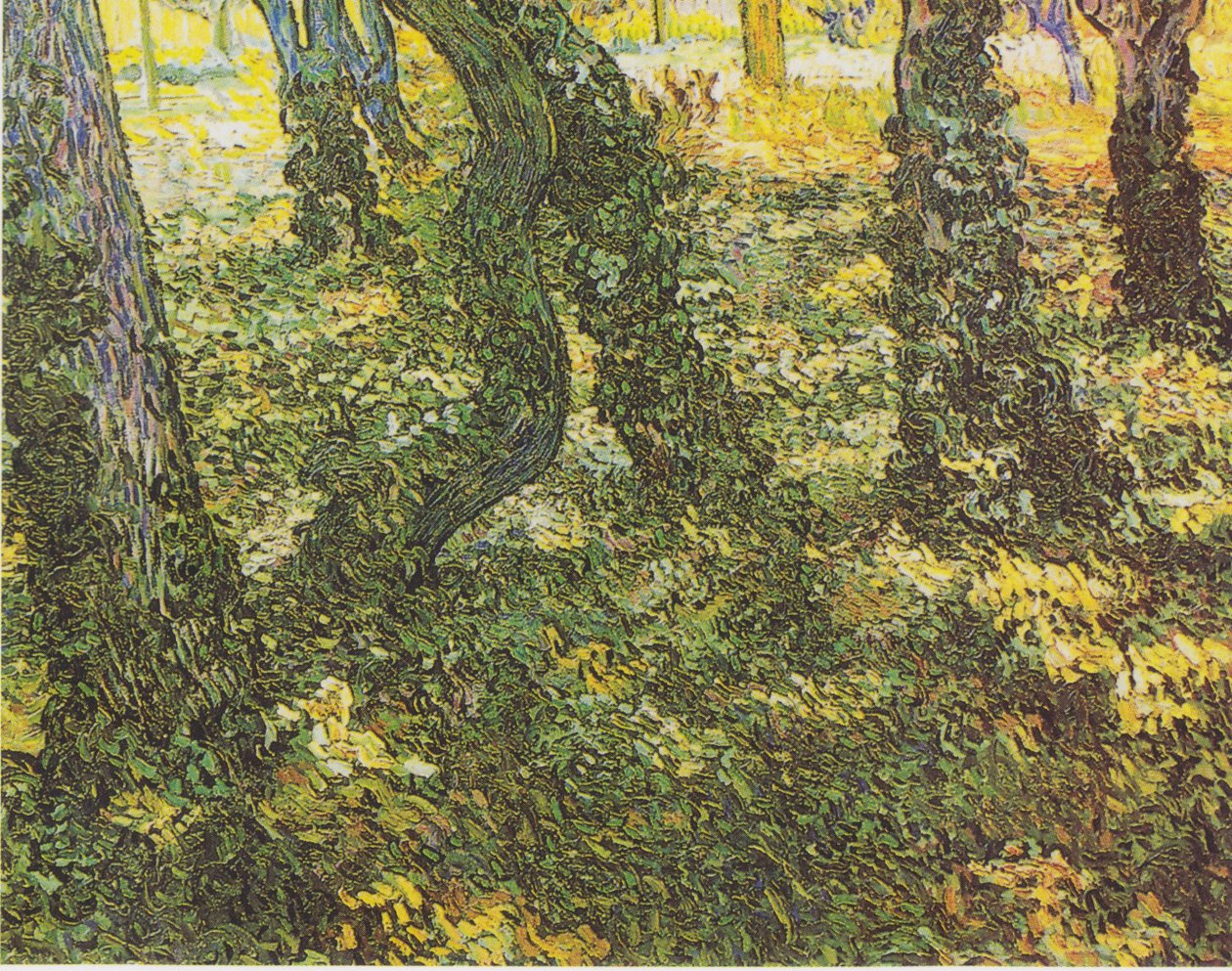 Sous-bois avec du lierre - Vincent van Gogh