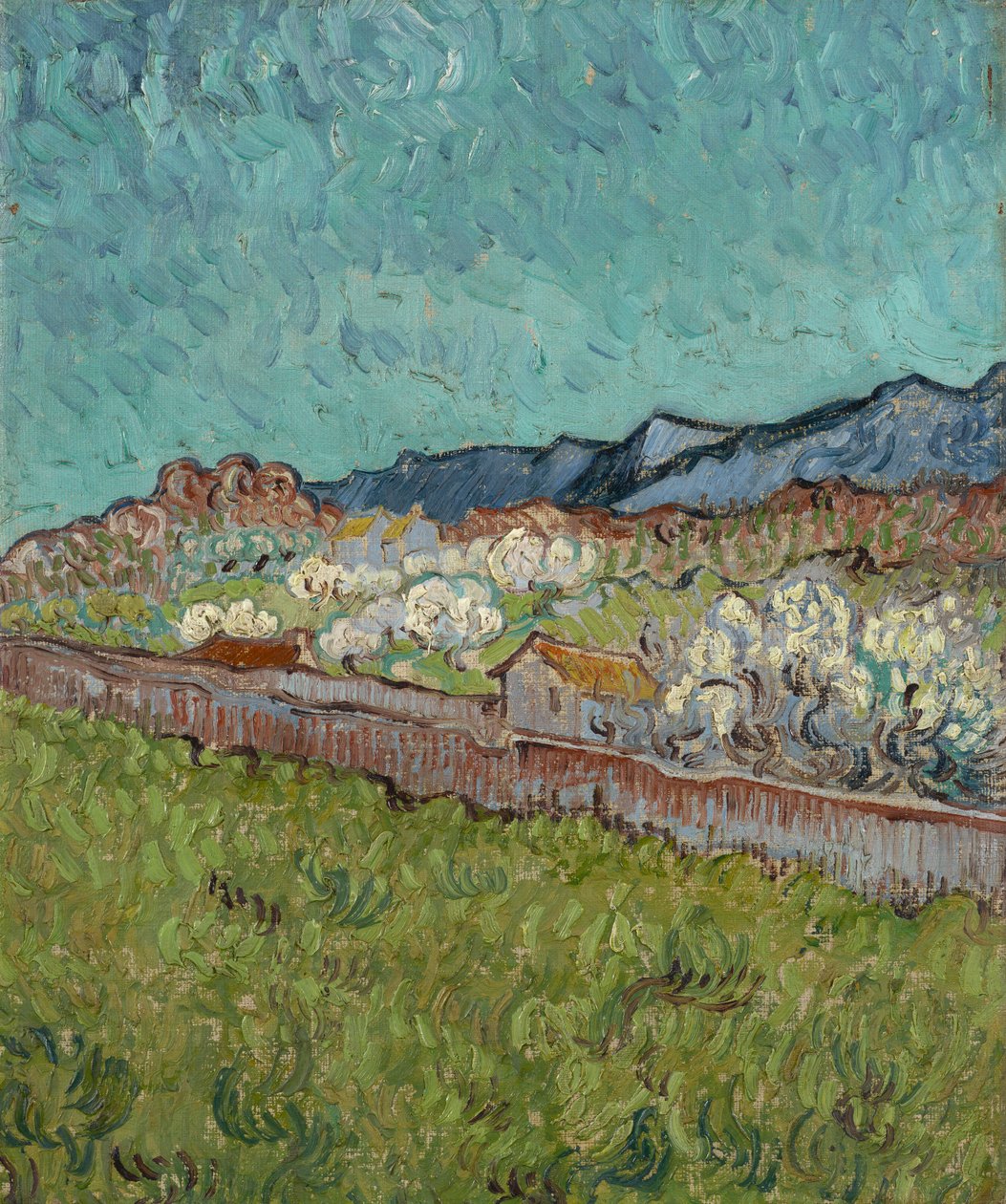 Vue des Alpilles - Vincent van Gogh