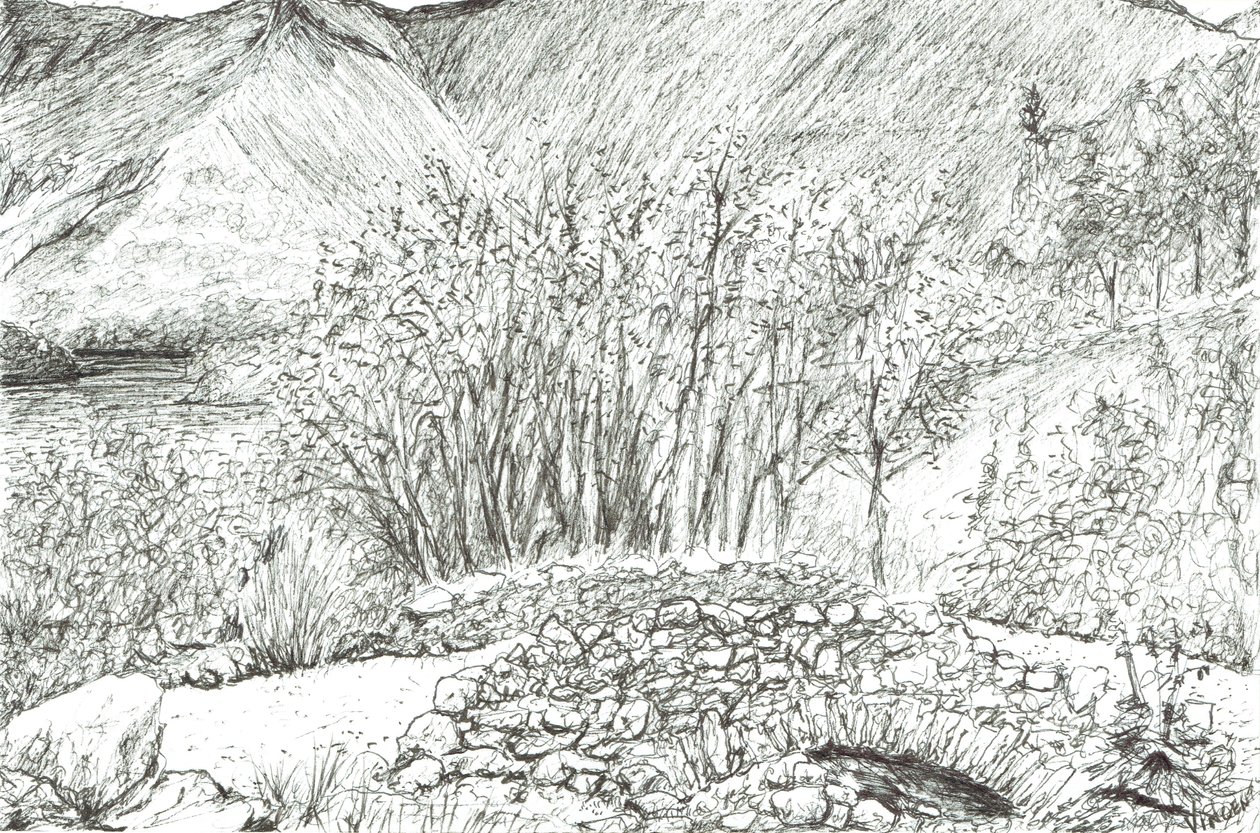 Vieux pont de pierre dans le Lake District, 2005 - Vincent Alexander Booth