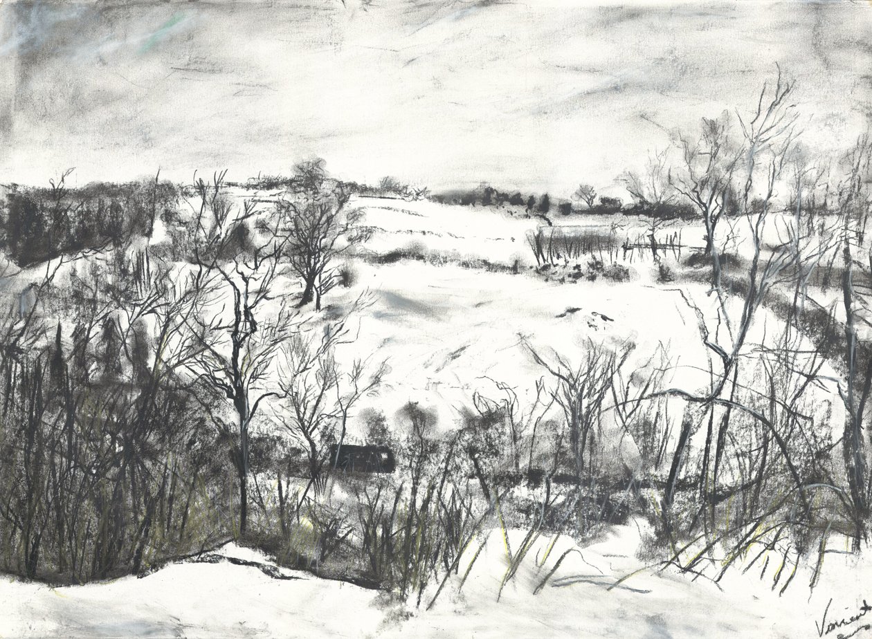 Neige sur la terre à Osmotherley - Vincent Alexander Booth