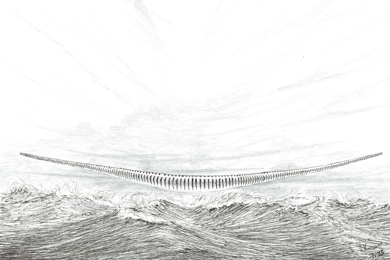 Créateurs de tempête Cape Leveque - Vincent Alexander Booth
