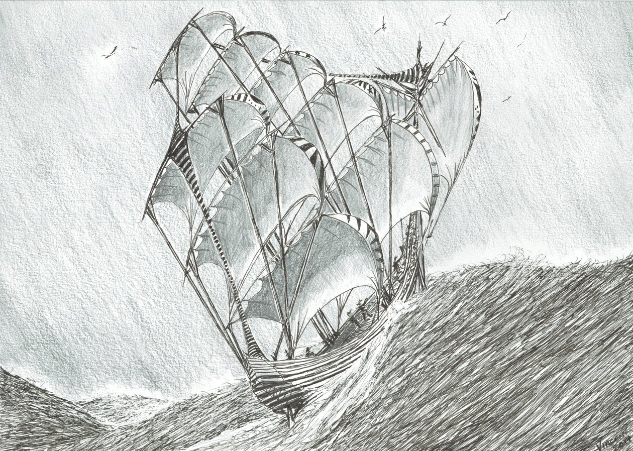 Créateurs de tempêtes Mer de Corail, 2017 - Vincent Alexander Booth