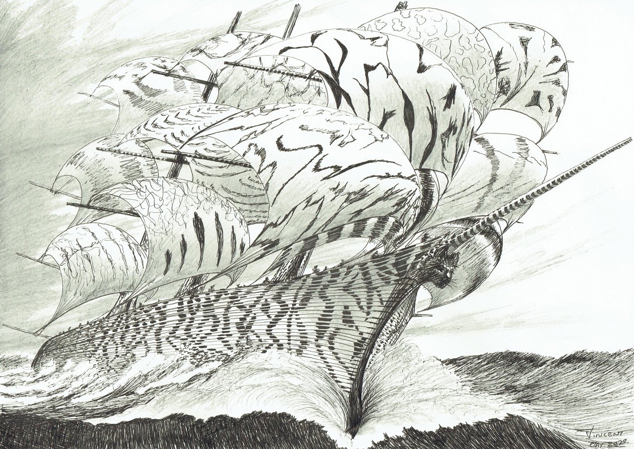 Créateurs de tempêtes, Lac Kariba, 2022 - Vincent Alexander Booth