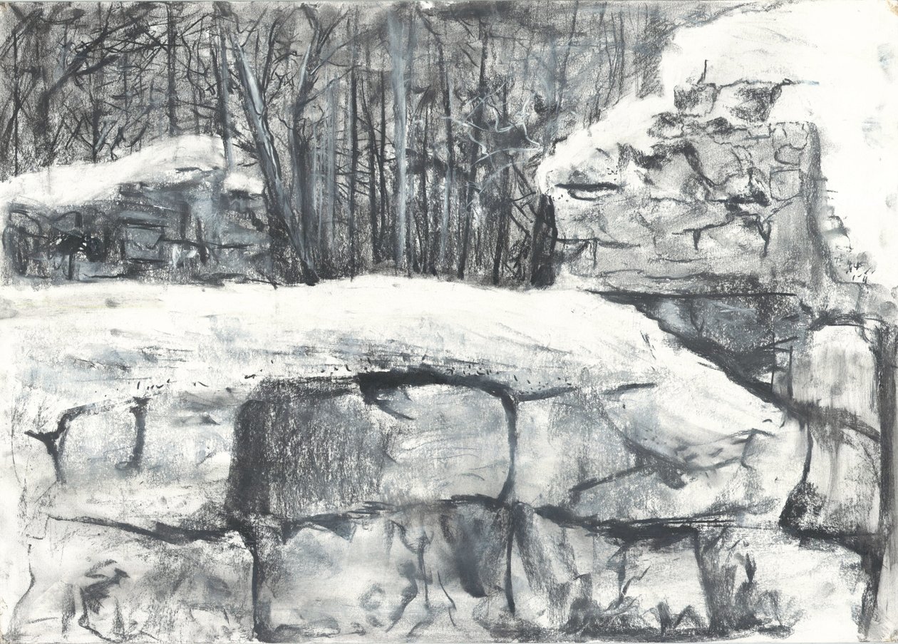 Mur dans les bois d
