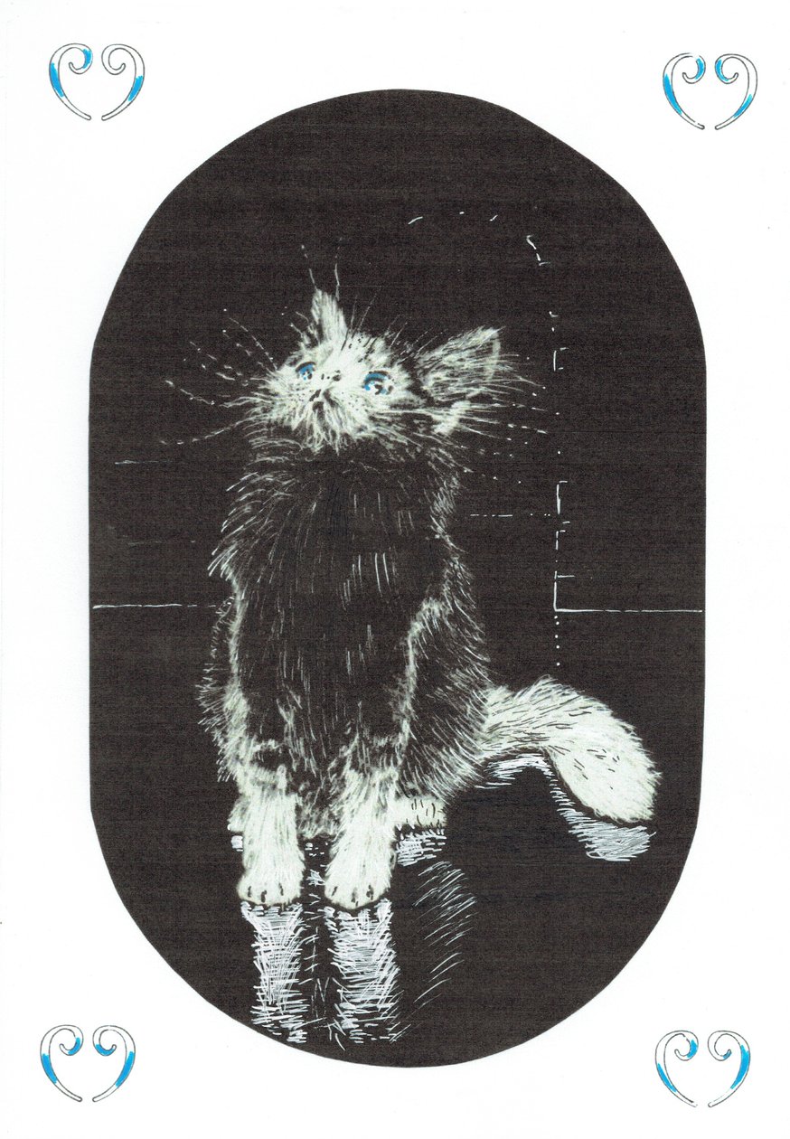 page1, Le Château dans la forêt de Findhorn, 2006 - Vincent Alexander Booth