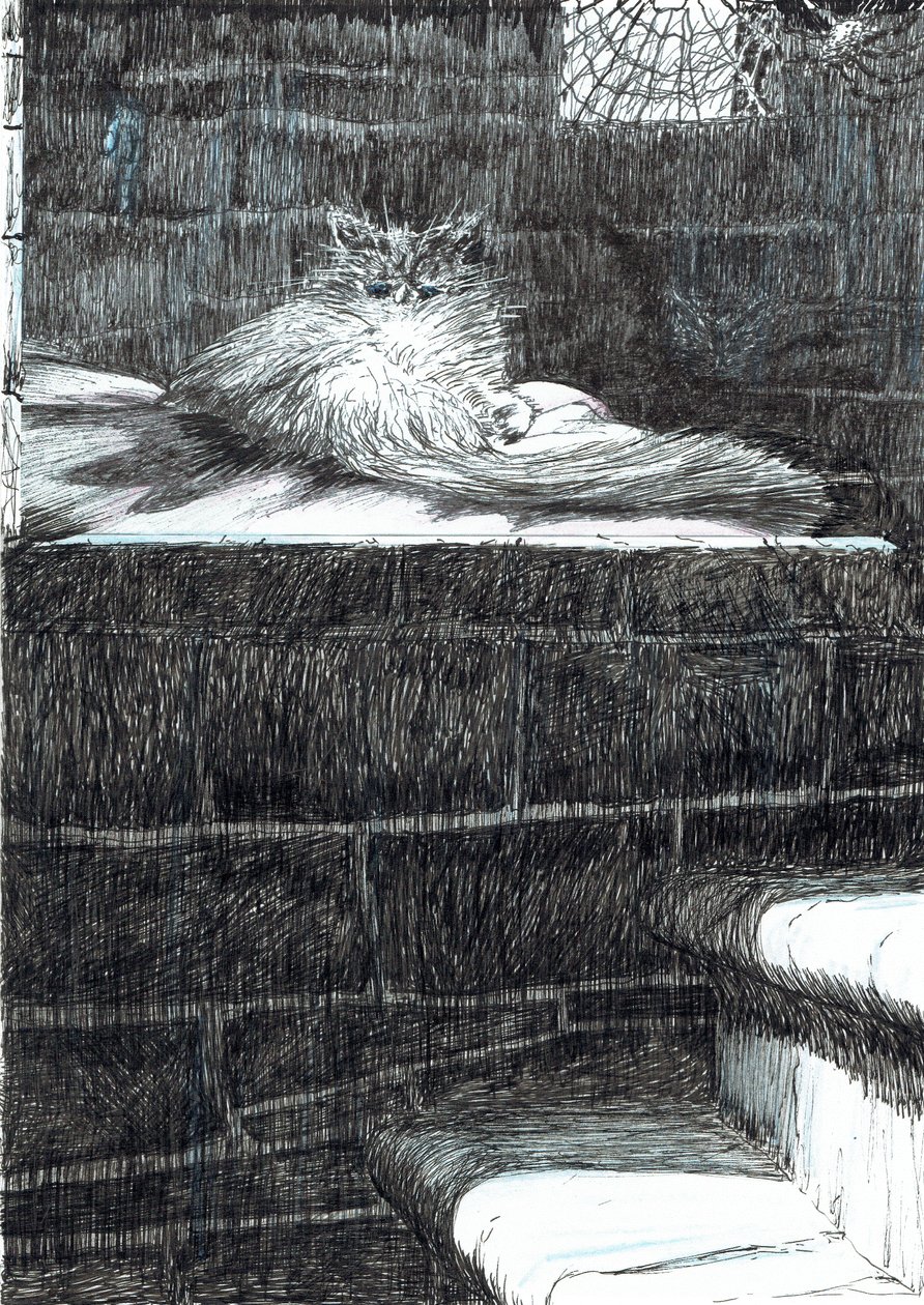 page21, Le Château dans la forêt de Findhorn, 2006 - Vincent Alexander Booth