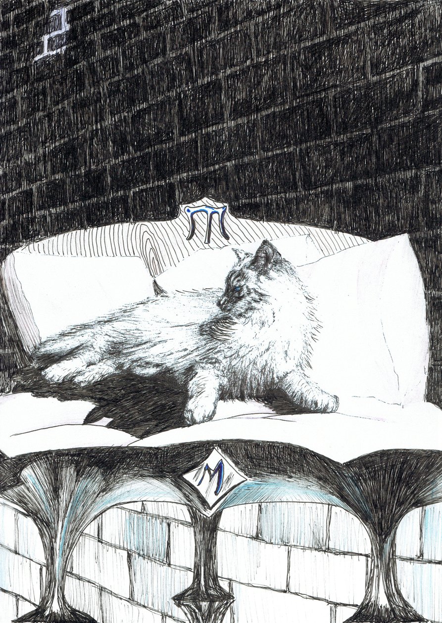 page52, Le château dans la forêt de Findhorn, 2006 - Vincent Alexander Booth