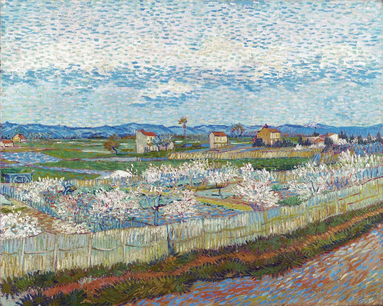 Pêchers en fleurs, 1889 - Vincent van Gogh