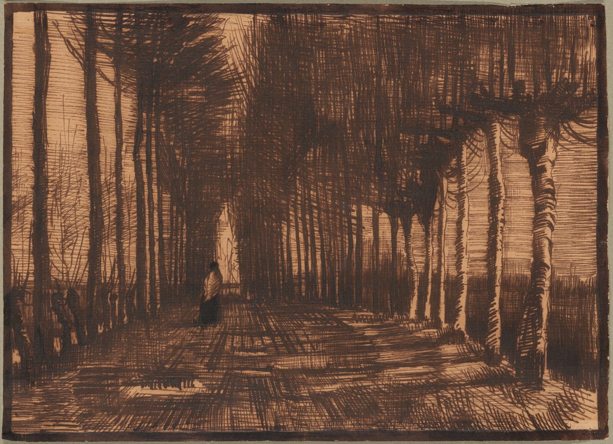 Avenue des bouleaux et peupliers têtards - Vincent van Gogh