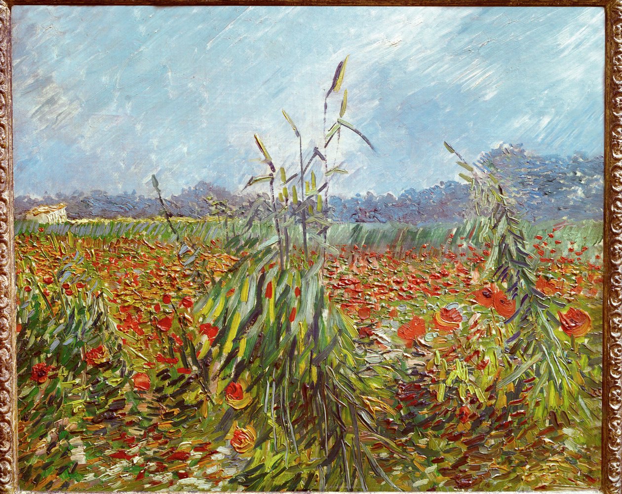 Champs de maïs et coquelicots (huile sur toile) - Vincent van Gogh