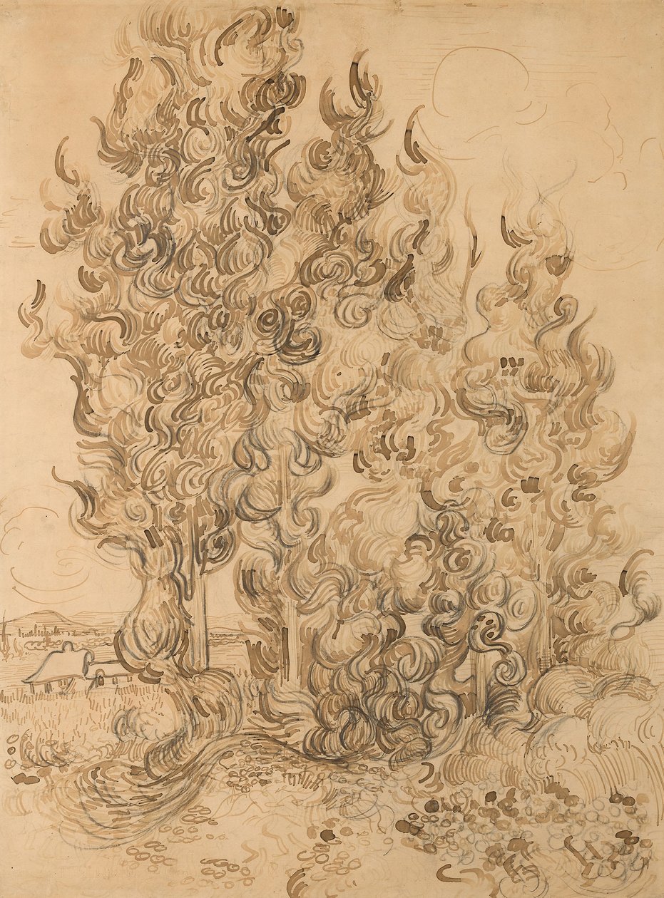 Cyprès - Vincent van Gogh
