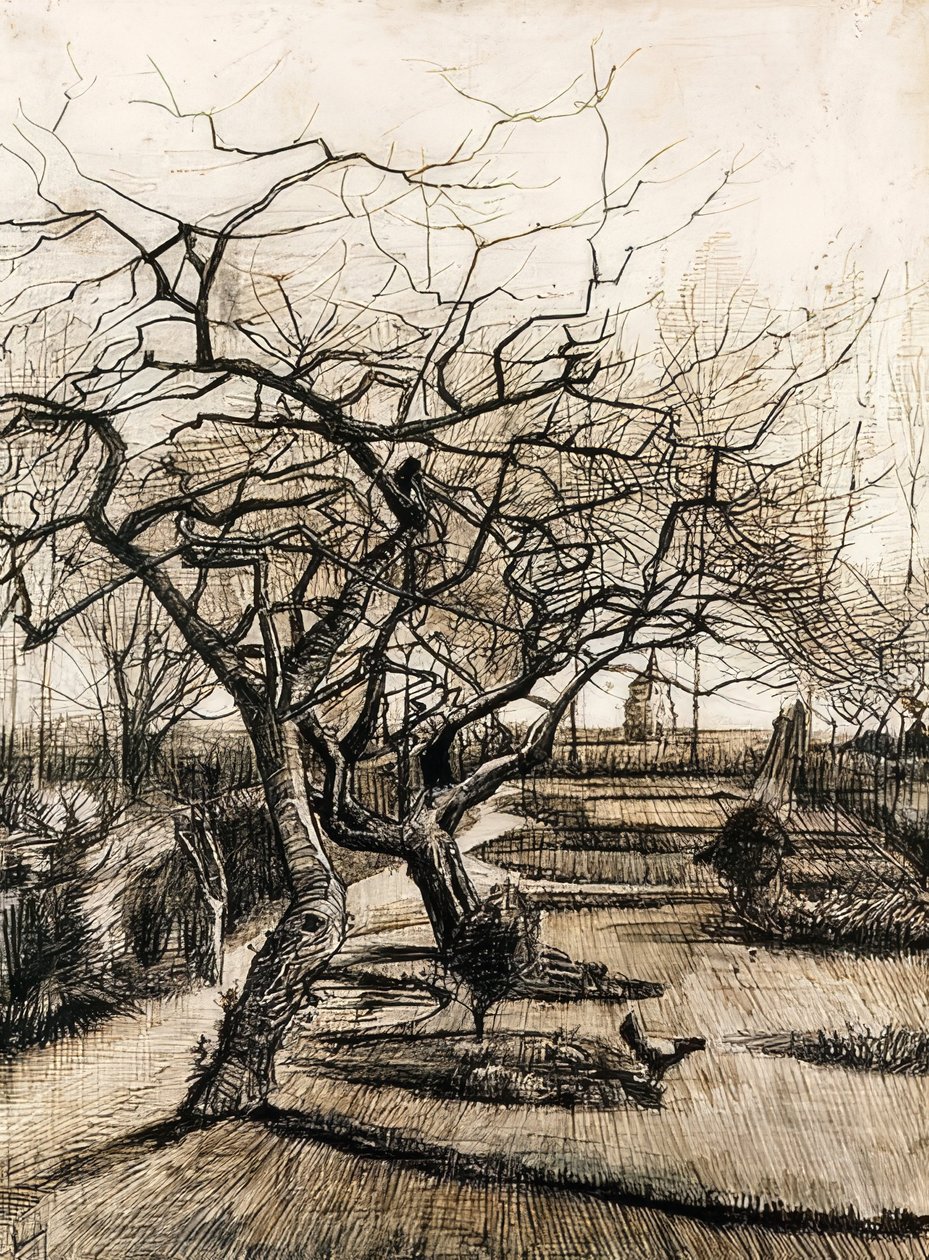Le jardin du presbytère à Nuenen - Vincent van Gogh