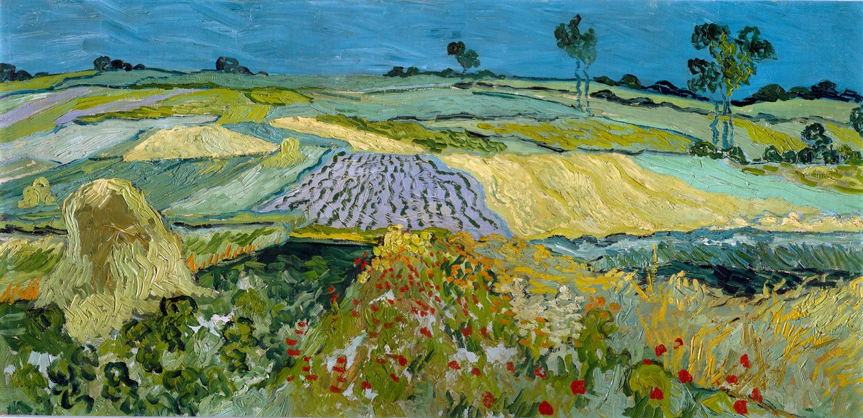  - Vincent van Gogh
