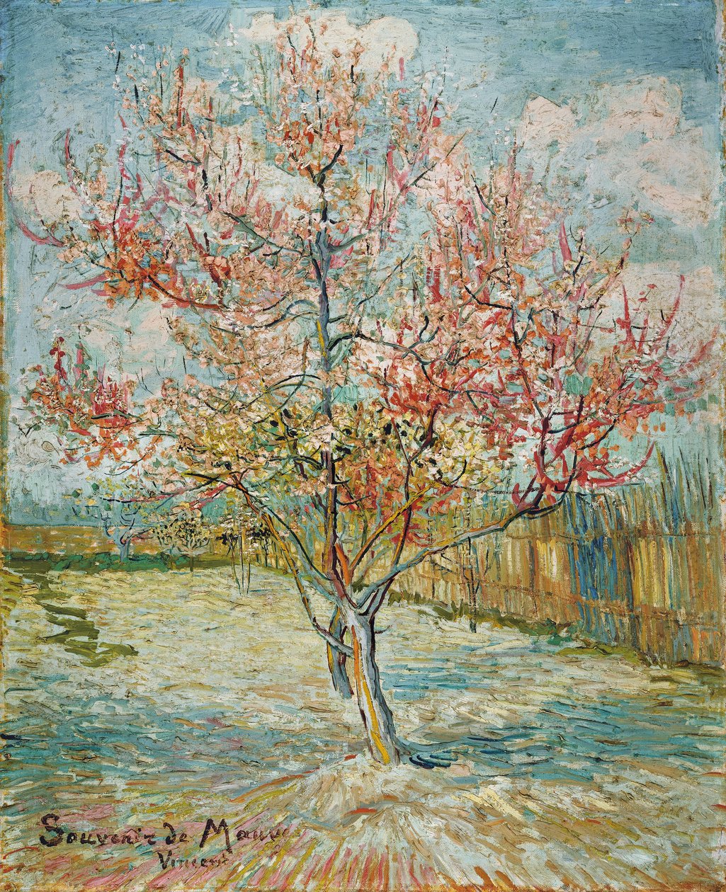 Pêcher en fleurs - Vincent van Gogh