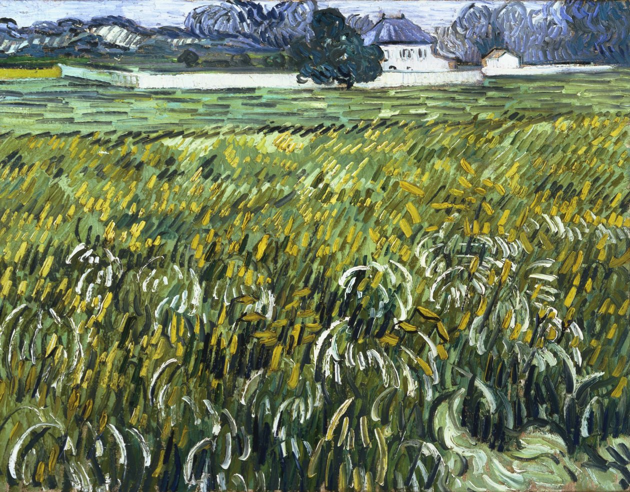 Maison à Auvers - Vincent van Gogh