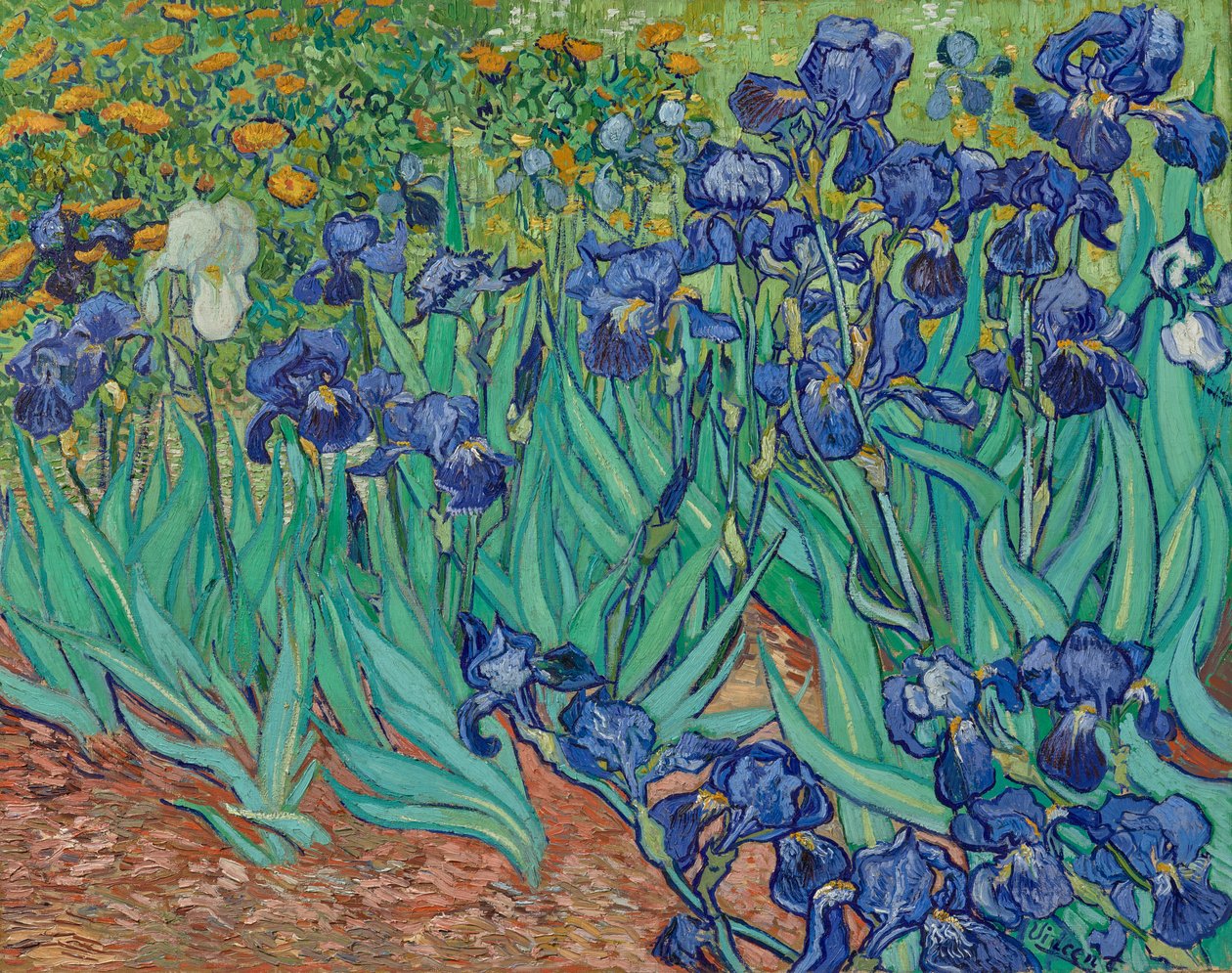 Iris - Vincent van Gogh