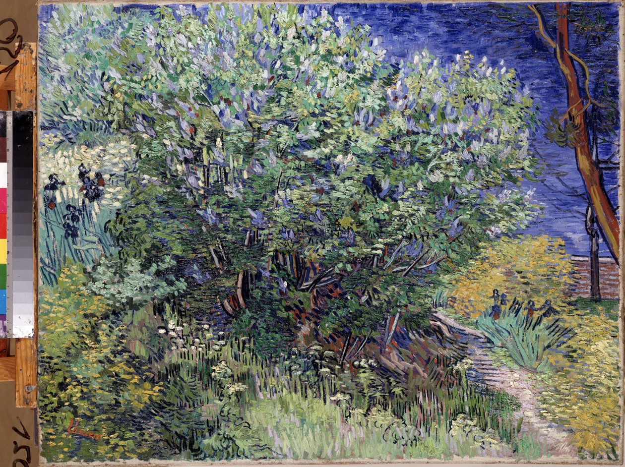 Le buisson de lilas - Vincent van Gogh
