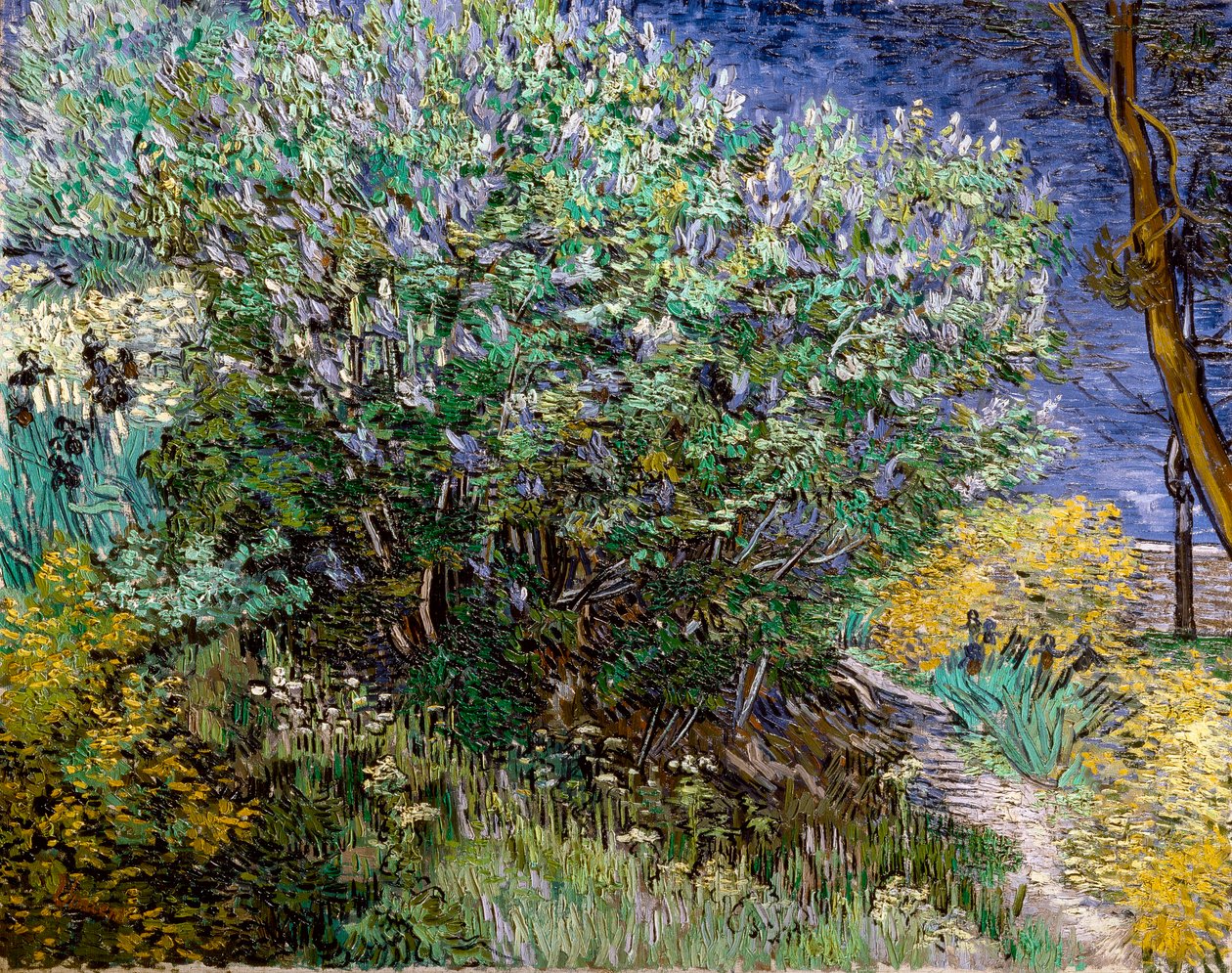 Le buisson de lilas - Vincent van Gogh