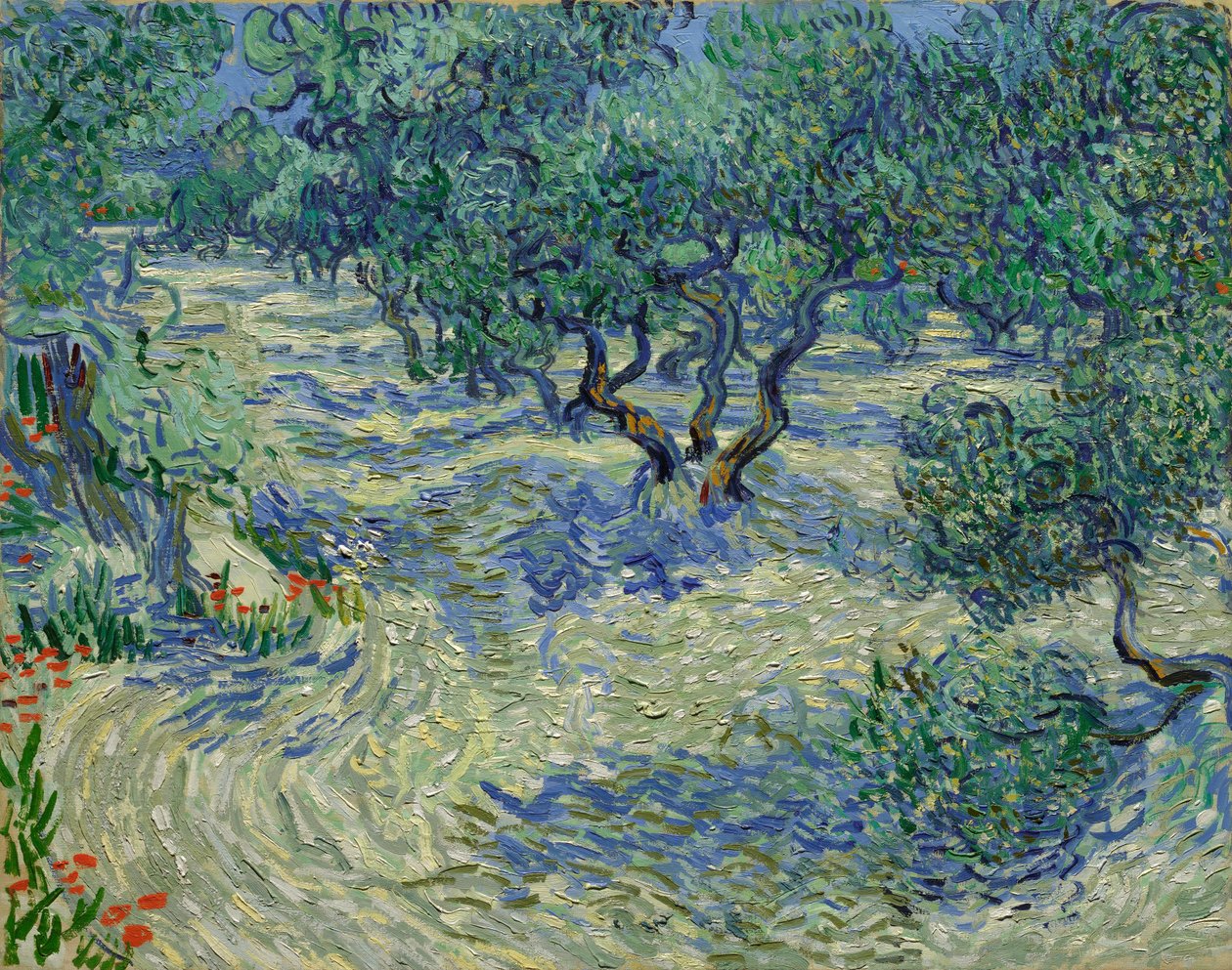 Oliviers / Oliveraie - Vincent van Gogh