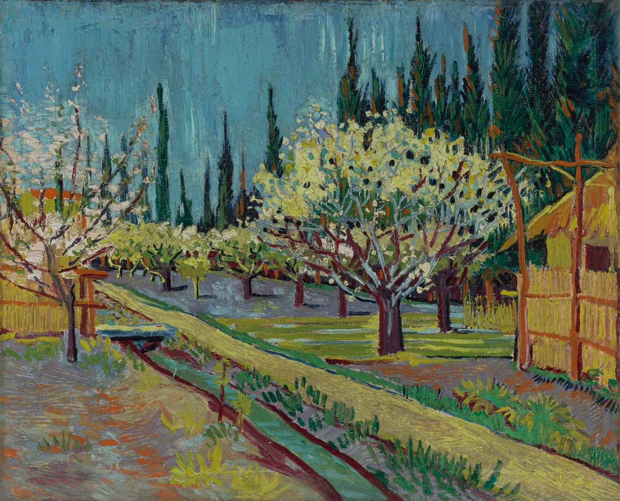 Verger bordé de cyprès - Vincent van Gogh