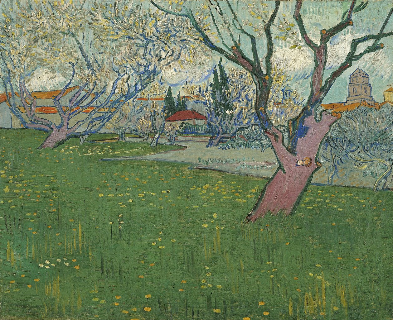 Vergers en fleurs, vue d