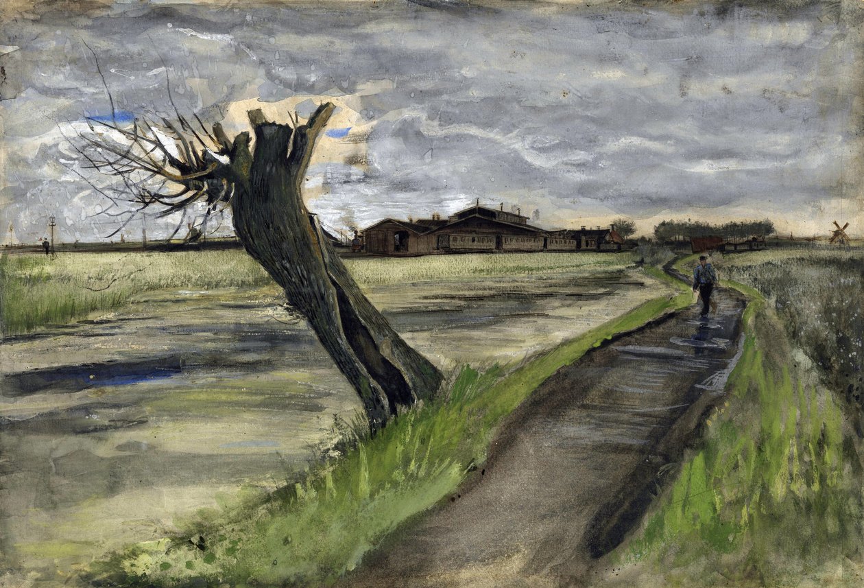 Saule têtard - Vincent van Gogh
