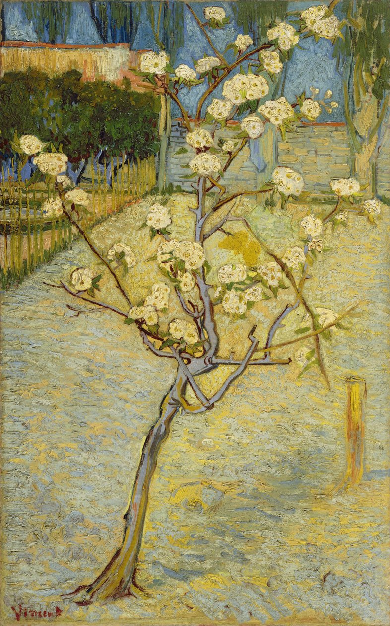 Petit poirier en fleurs - Vincent van Gogh